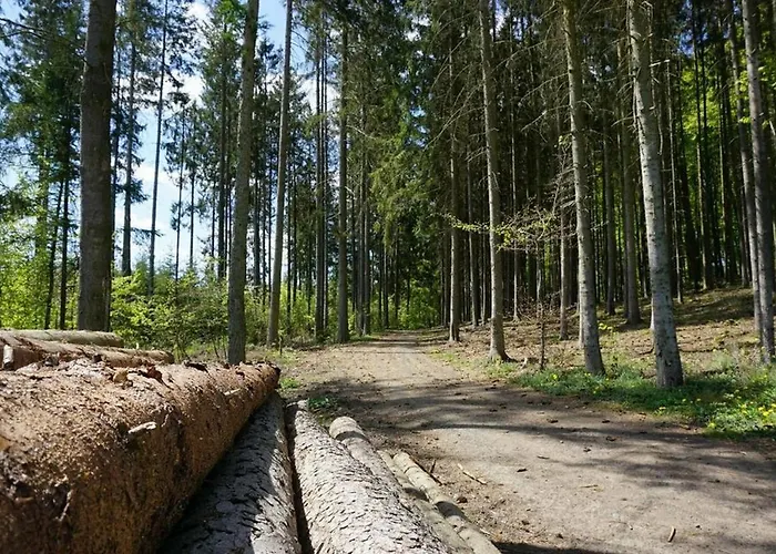 Seepark Bei Anne Mit Sauna * Kirchheim (Hessen)