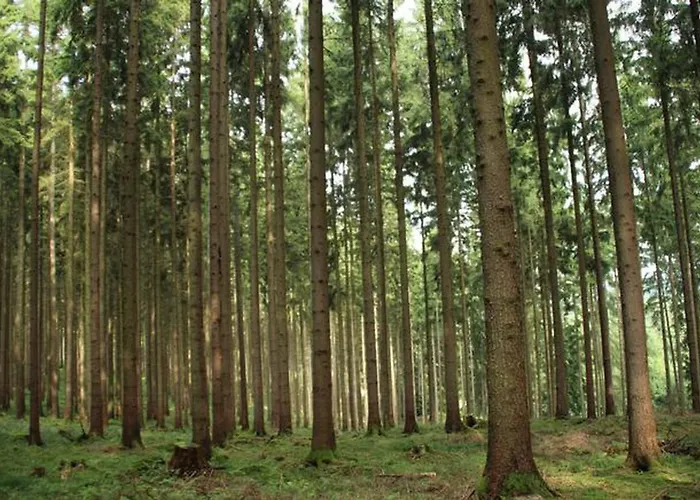 Seepark Bei Anne Mit Sauna
